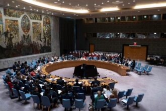 Colombia asume mandato como miembro del Consejo de Seguridad de la ONU