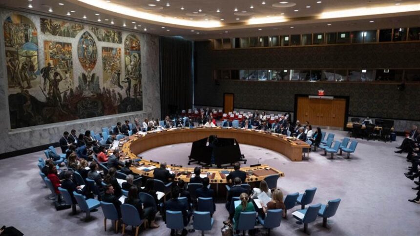 Colombia asume mandato como miembro del Consejo de Seguridad de la ONU