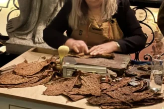 Cuba cancela el Festival del Habano por la crisis