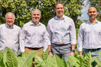 Exportaciones de tabaco de RD se incrementan más de 1,000 millones de pesos en 2025, informa Intabaco