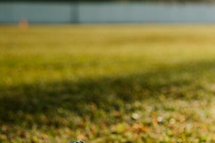 Datos curiosos del Súper Bowl 2026