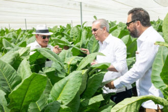 Presidente Abinader visita finca tabacalera "La Milagrosa" en Monte Plata, para impulsar tecnología en la producción de capa