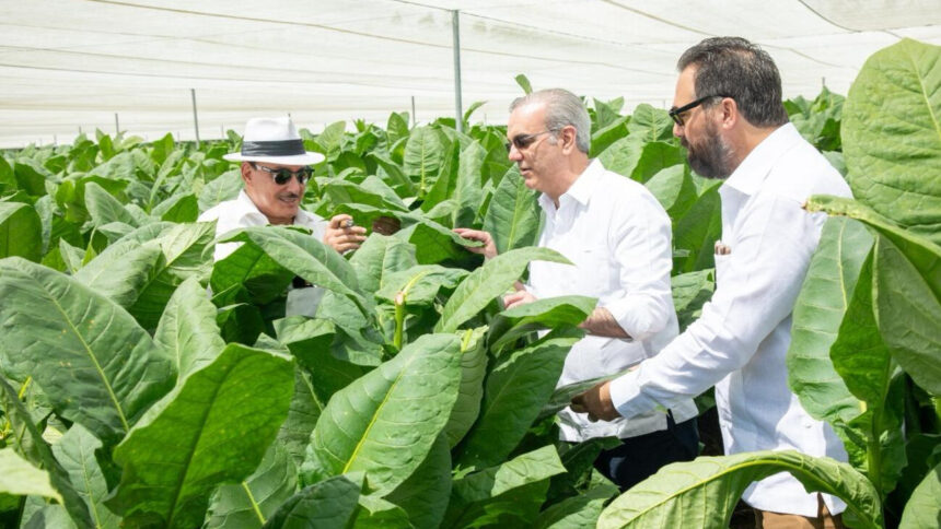 Presidente Abinader visita finca tabacalera "La Milagrosa" en Monte Plata, para impulsar tecnología en la producción de capa