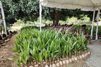 inauguran vivero de coco enano brasileño