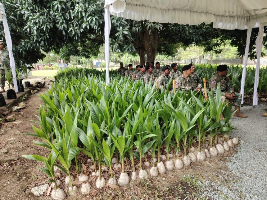 inauguran vivero de coco enano brasileño
