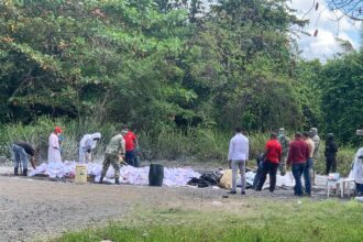 Inacif quema más de 8 toneladas de drogas