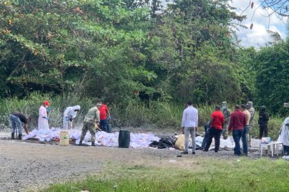 Inacif quema más de 8 toneladas de drogas