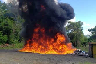 El Inacif quema más de mil kilogramos de distintas drogas