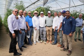 Exportaciones de tomate cherry hacia Estados Unidos consolidan crecimiento del sector;