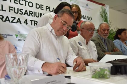 República Dominicana se adelanta al Fusarium R4T: Agricultura y OIRSA lanzan proyecto pionero de banano tolerante