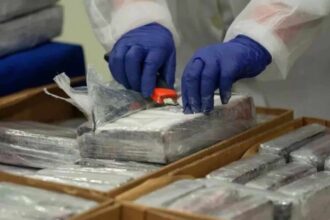 Hallan en un puerto de Ecuador 294 kilos de cocaína que iban a ser enviados a Europa