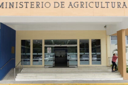 Ministerio de Agricultura fortalece exportación de mangos hacia Estados Unidos y Europa con nuevas medidas fitosanitarias
