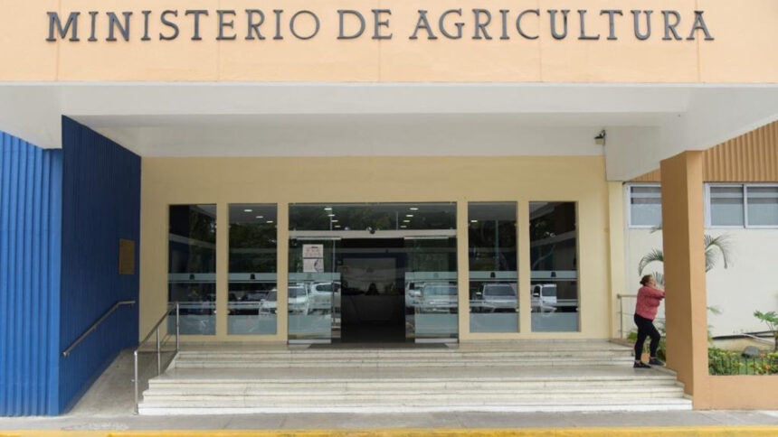 Ministerio de Agricultura fortalece exportación de mangos hacia Estados Unidos y Europa con nuevas medidas fitosanitarias