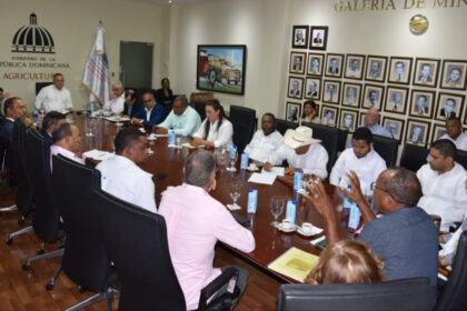 Producción de yuca amarga para elaborar casabe en República Dominicana