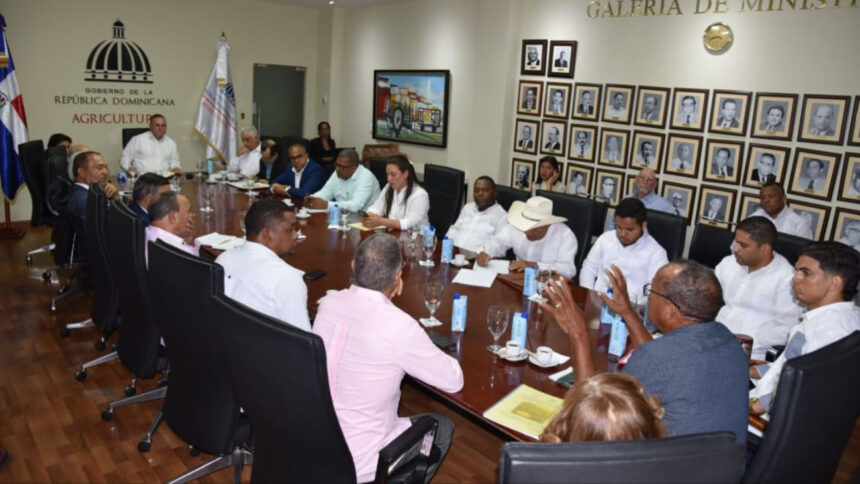 Producción de yuca amarga para elaborar casabe en República Dominicana