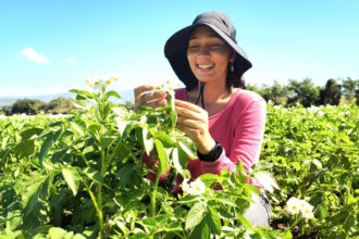 Mujeres rurales dominicanas participan en actividades agrícolas y programas de apoyo productivo