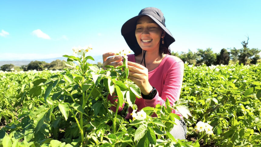 Mujeres rurales dominicanas participan en actividades agrícolas y programas de apoyo productivo